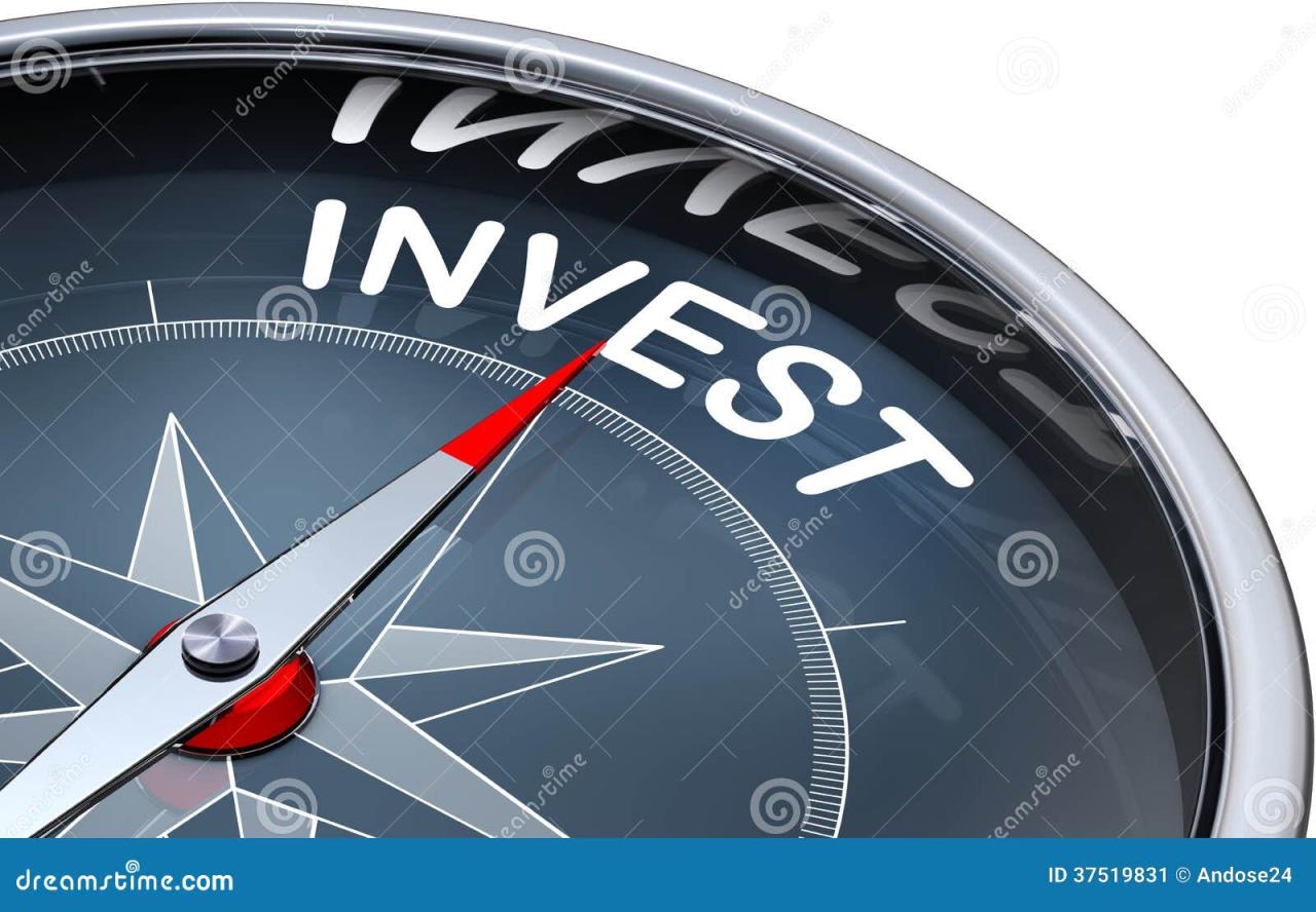 What Is an Investment? – economie2022